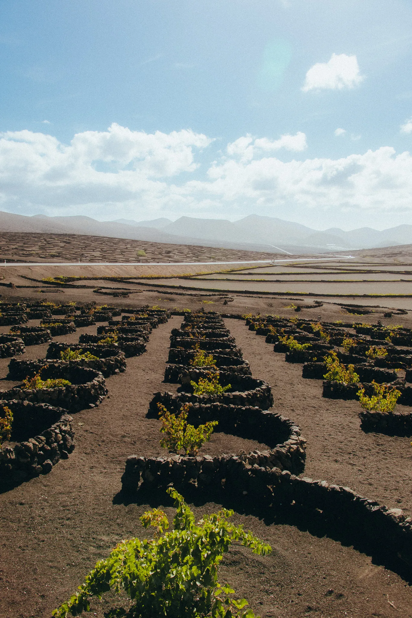 Lanzarote 16