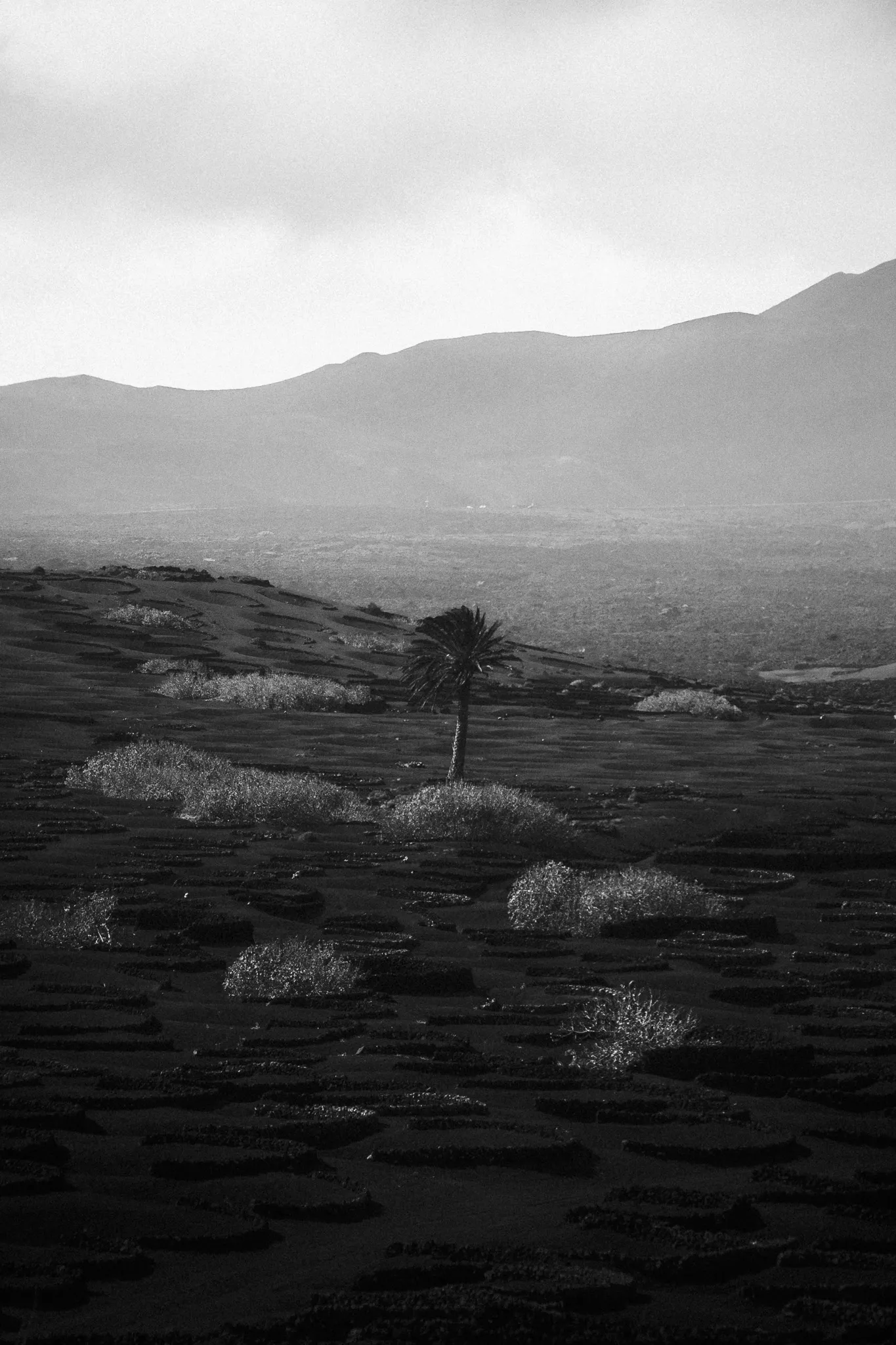 Lanzarote 22