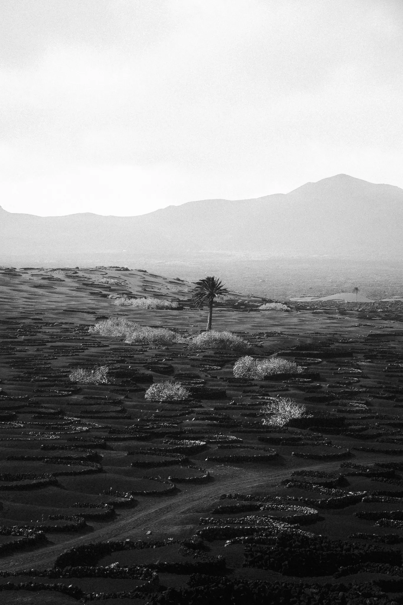 Lanzarote 8